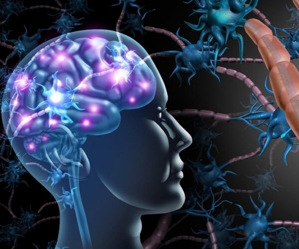 illustration of brain and neurons