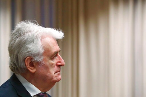 UN Prosecutor Seeks Life Term for Karadzic at Appeal Hearing