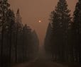 Winds Frustrate Effort to Corral Calif. Wildfire
