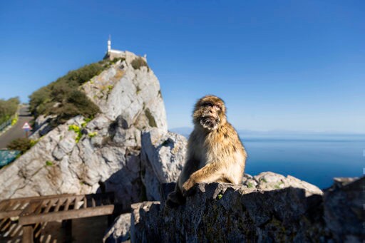 Brexit Deal Almost Done, but Spain Holds out over Gibraltar
