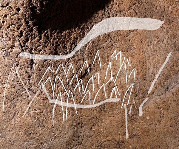 Spanish Cave Drawings Found to Be 14,000 Years Old