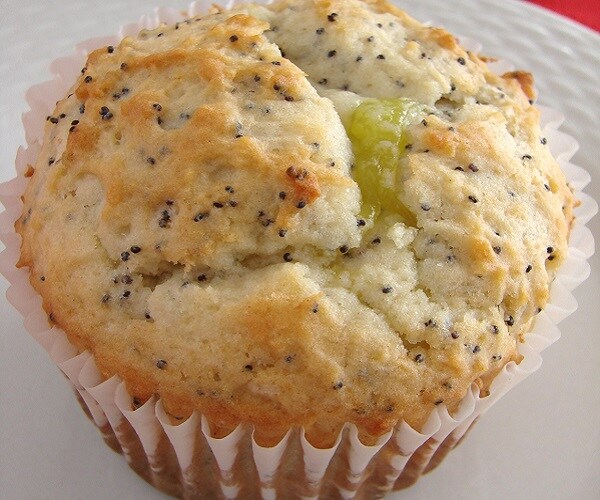 CDC Ticks Off Poppyseed Muffin Eaters With Insect Topping