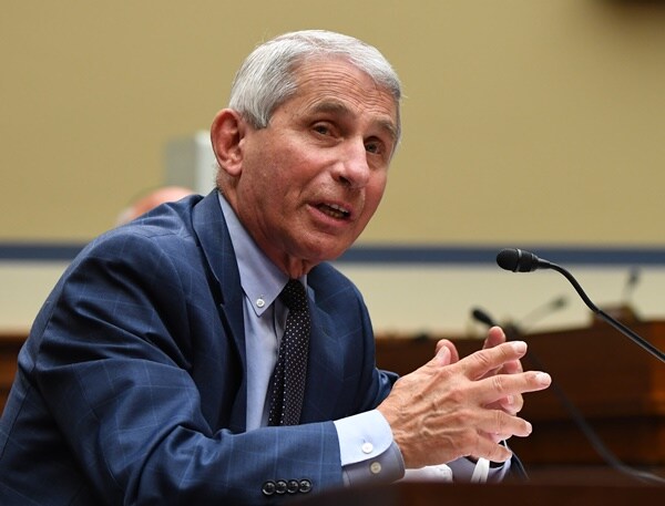 dr. anthony fauci sits at a table and answers questions from congress members