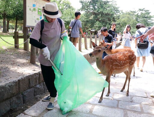 9 Deer at Famed Park in Japan Die after Eating Plastic Bags