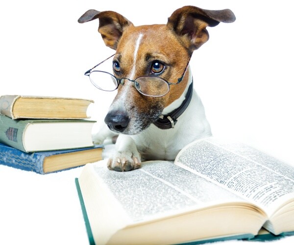 Newsmax Rising Bestsellers – Week of Nov. 7, 2022