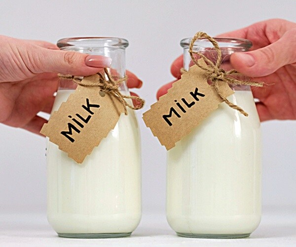 fresh milk concept, two glass bottles with milk written on white paper draped around bottle necks