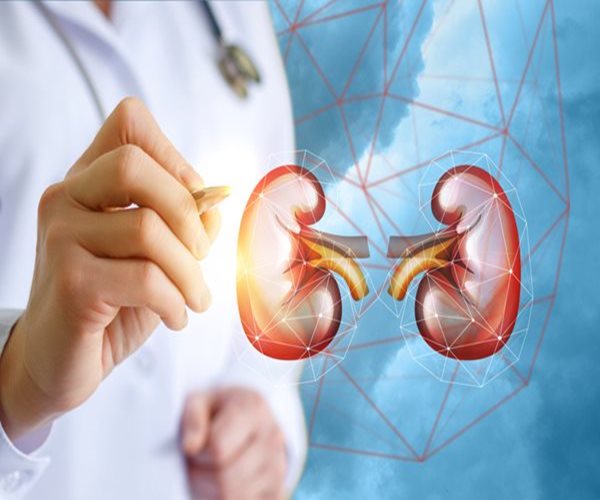 a healthcare practitioner standing in front of a graphic of kidneys