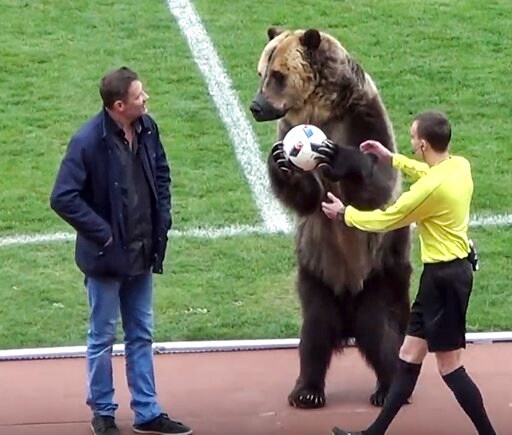 Animal Rights Groups Slam Bear Use at Russian Soccer Match