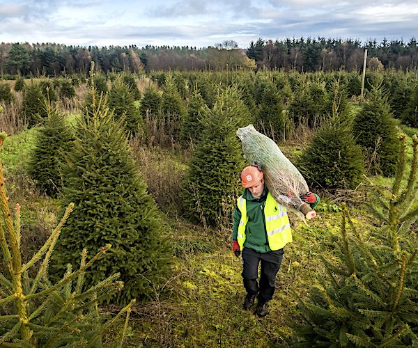 Comments Deadline Extended on Raising National Park Fees