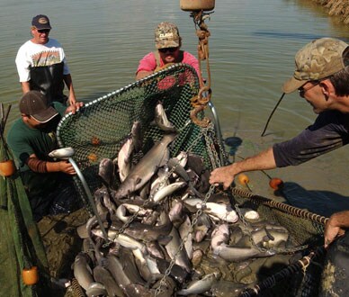 Day 51 - March 11, 2009