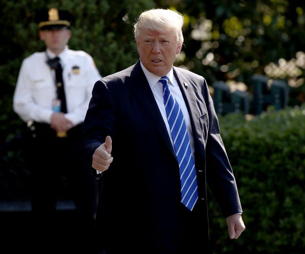 Trump Thrived in Private Business, But Public Office Is Different