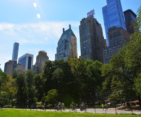 Average New York Rent Soars to $5,250