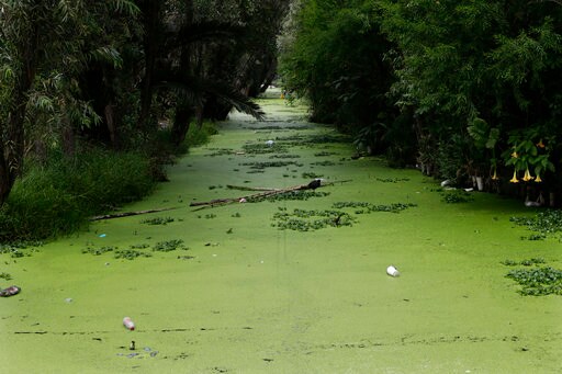 Sewage System Failures Plague Mexican Tourist Destinations