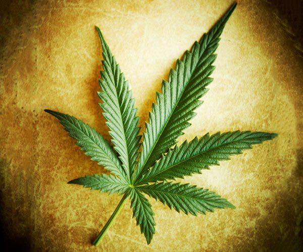 Supreme Court Rejects Church's Appeal Over Marijuana Laws