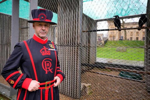 The Tower of London's New Ravenmaster Takes Charge of the Landmark's Iconic Flock