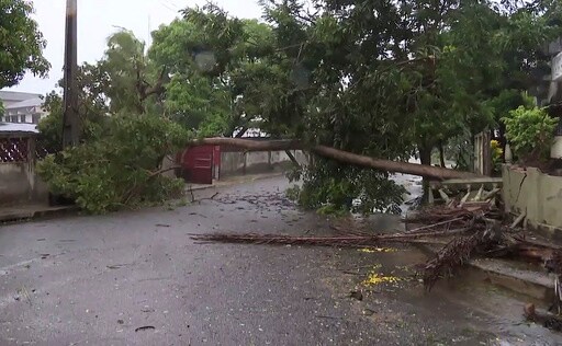 At Least 44 Dead as Cyclone Freddy Pounds Malawi, Mozambique