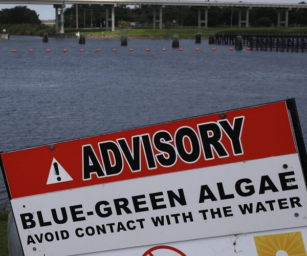 A sign warning about algae in the water