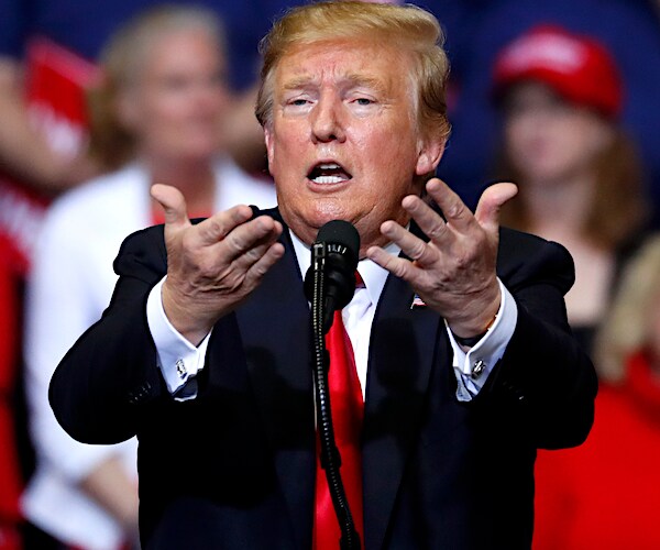 president donald trump exults during a campaign rally