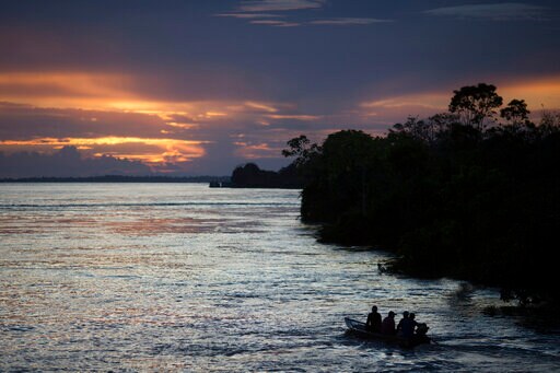 Investors Warn Brazil Ambassadors about Amazon Deforestation
