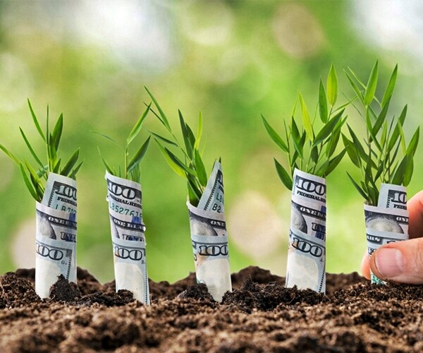 May Flowers: Where the Retail Blooms Are and Are Not