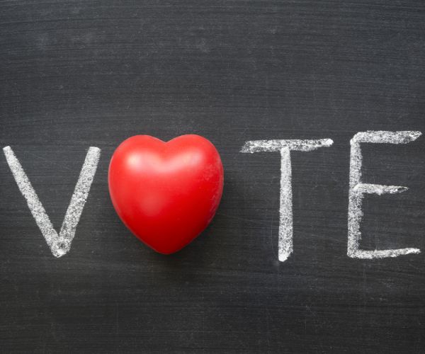 Voting Is a Personal Civil Right — Please Vote Now!