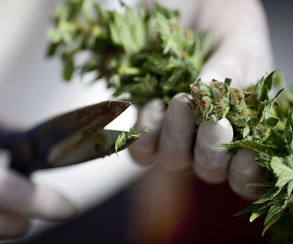 Marijuana Users in Israel to Face Fine Rather Than Criminal Charge