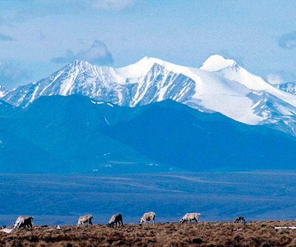 Companies Plan $2.6B Investment in Major Alaska Oil Project