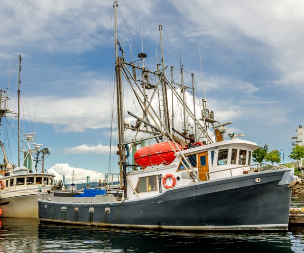 Maine Scallop Fishing Area Closed 'til Next Year After Quota Busted