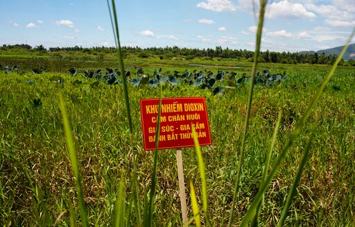 Vietnam, US Complete Cleanup of Toxic Chemical from Airport