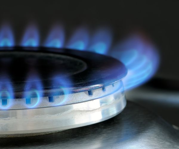 Russia Interfered With US Energy Markets, Congress Reports