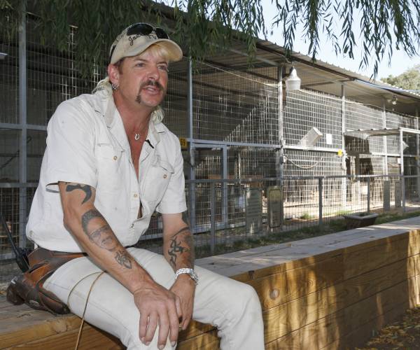 Last Cat Out of Tiger King Park Bag as Seizure Completed