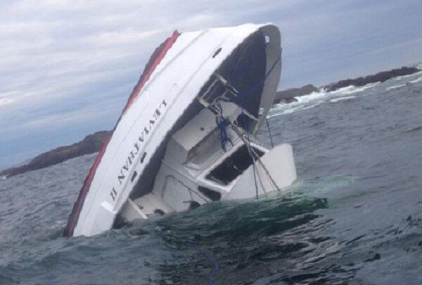 Whale-Watching Boat Capsize Being Blamed on Rogue Wave