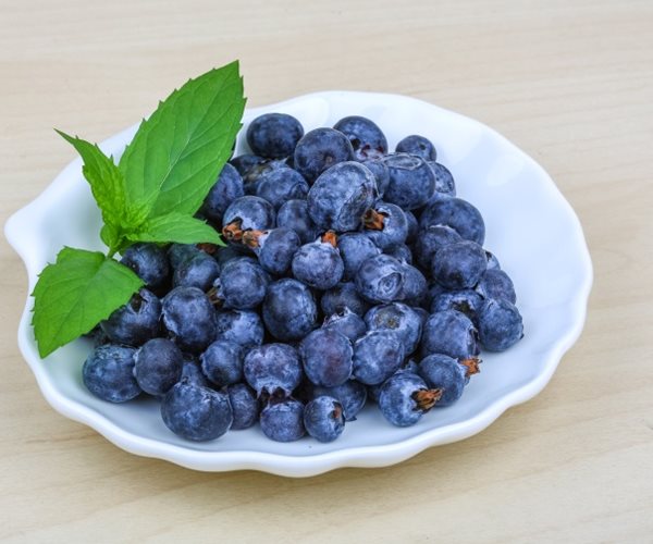 Blueberry Extract Fights Gum Disease: Study