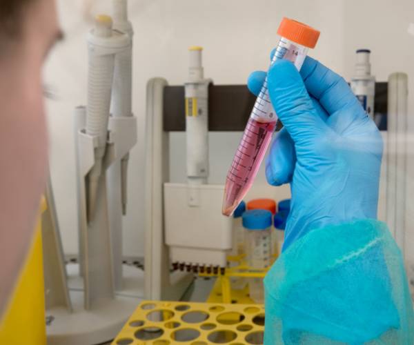 gloved hand with a test tube