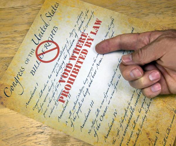 copy of the constitutution stamped void where prohibited by law