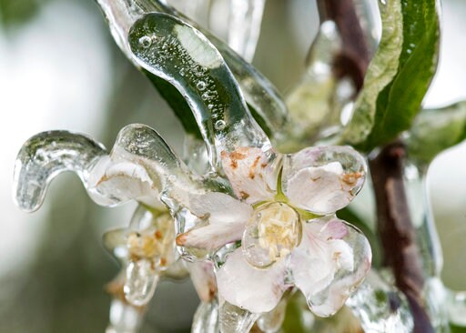 Europe Struggles with Unseasonable Weather, Cold and Hot