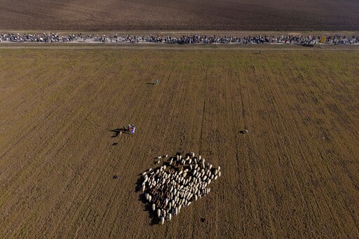 Serbian Student Protesters Resume Their March as They Press for Justice after Deadly Crash