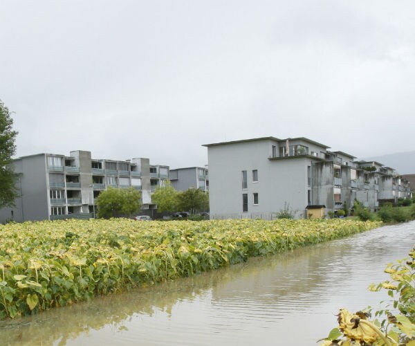 Muslim Migrants Take Advantage of West's Tolerance  