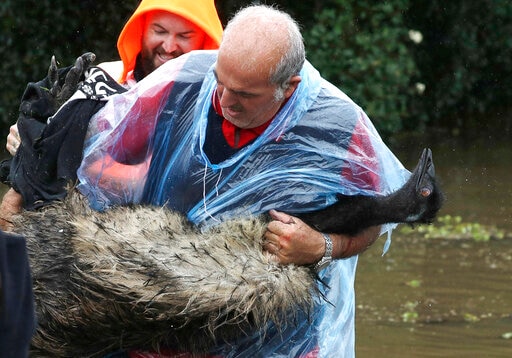 Australian East Coast Rain to Ease but Flooding Continues