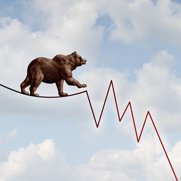 bear walking along stock market graph 