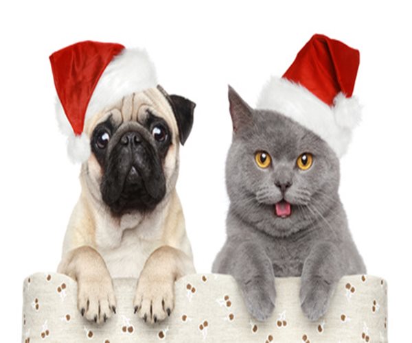 Keep Pets Safe During the Holidays