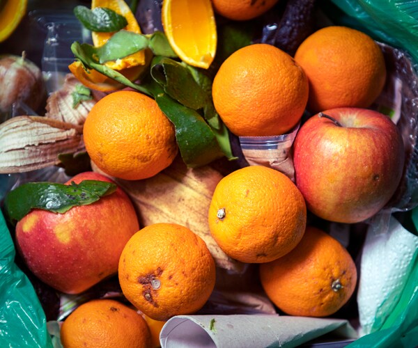 food waste in the trash