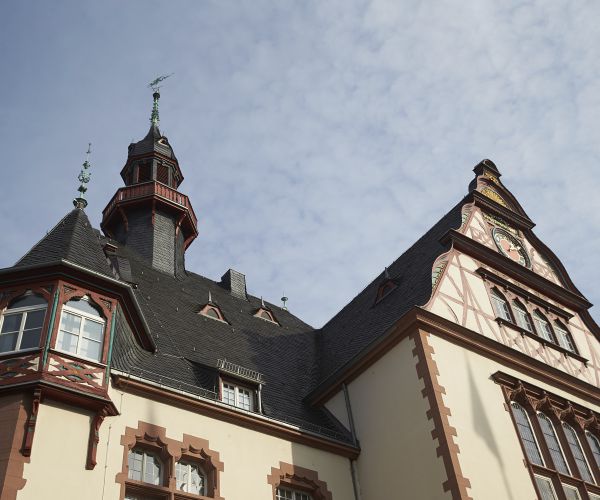 'Fox Steals Goose': Vegan Gets Kids Song Pulled From German Town Bells