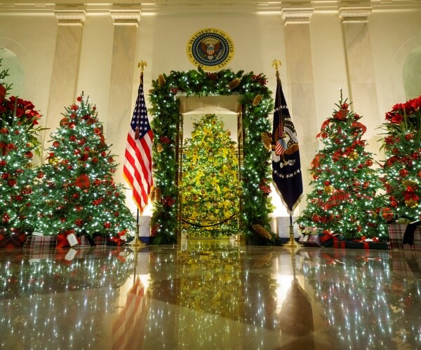 christmas trees are up and decorated at the white house
