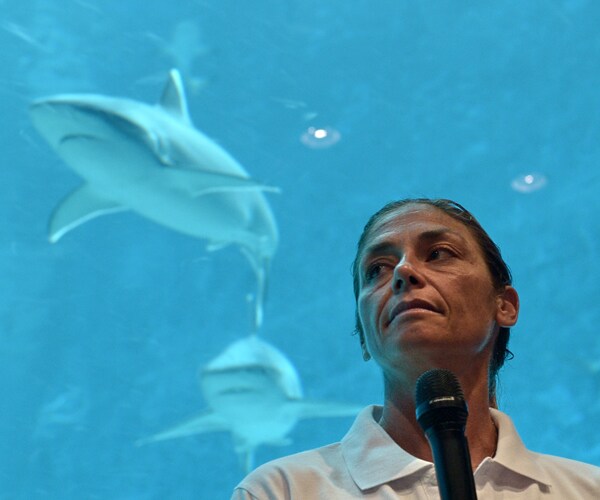 Cristina Zenato, 'Shark Whisperer,' Removes Fish Hooks From Ferocious Mouths