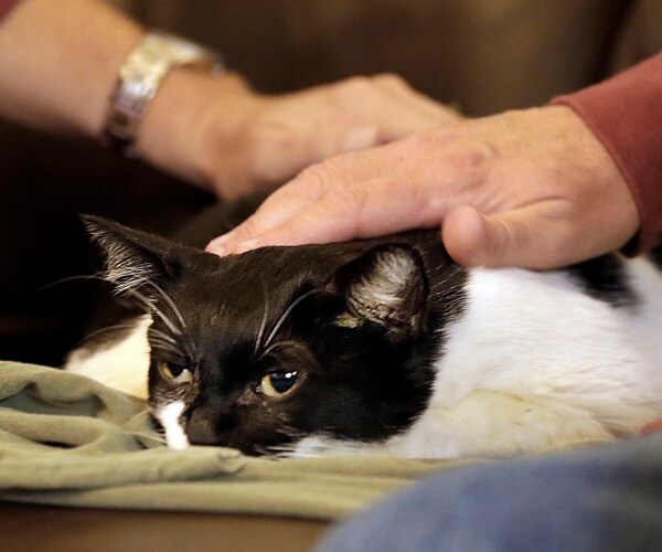 Home Is Now the Most Common Place of Death in the US