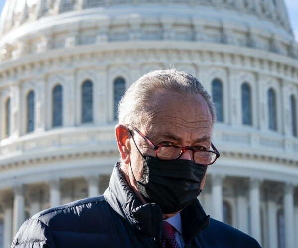 chuck schumer in front of the capitol