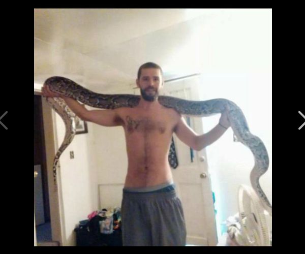 20-Foot Python on the Loose in Ozarks After Pet Escapes