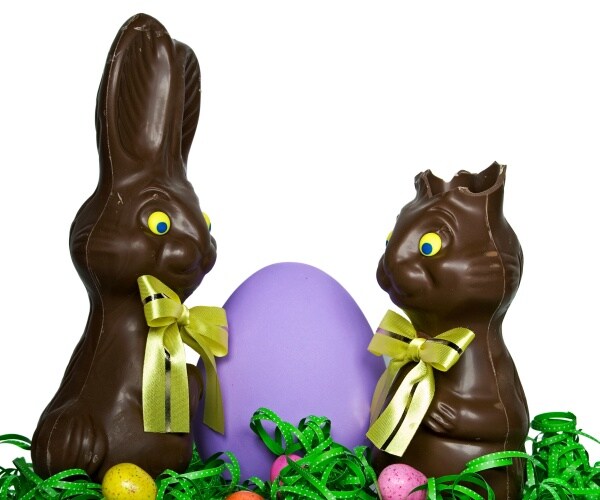 two dark chocolate bunnies, one with ears bit into