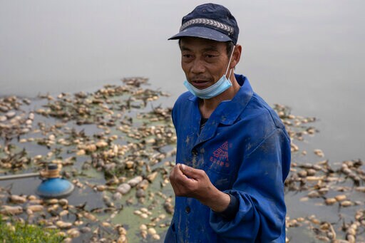 Wuhan Farmers Struggle as Crops Wither from Travel Limits